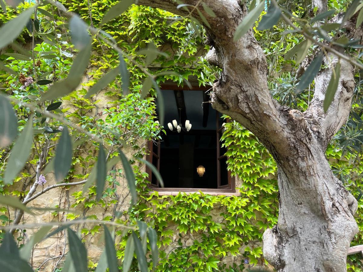 Apartamento Antiguo Molino Arnes Exterior foto